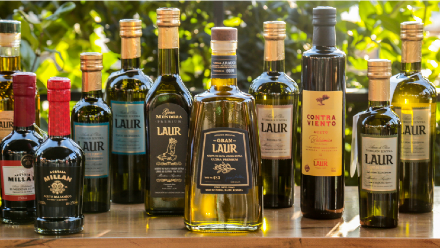 Olivícola Laur celebra el Día Mundial del Olivo